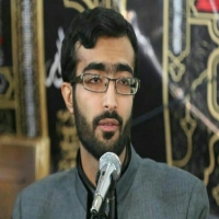  حمزه محمودی